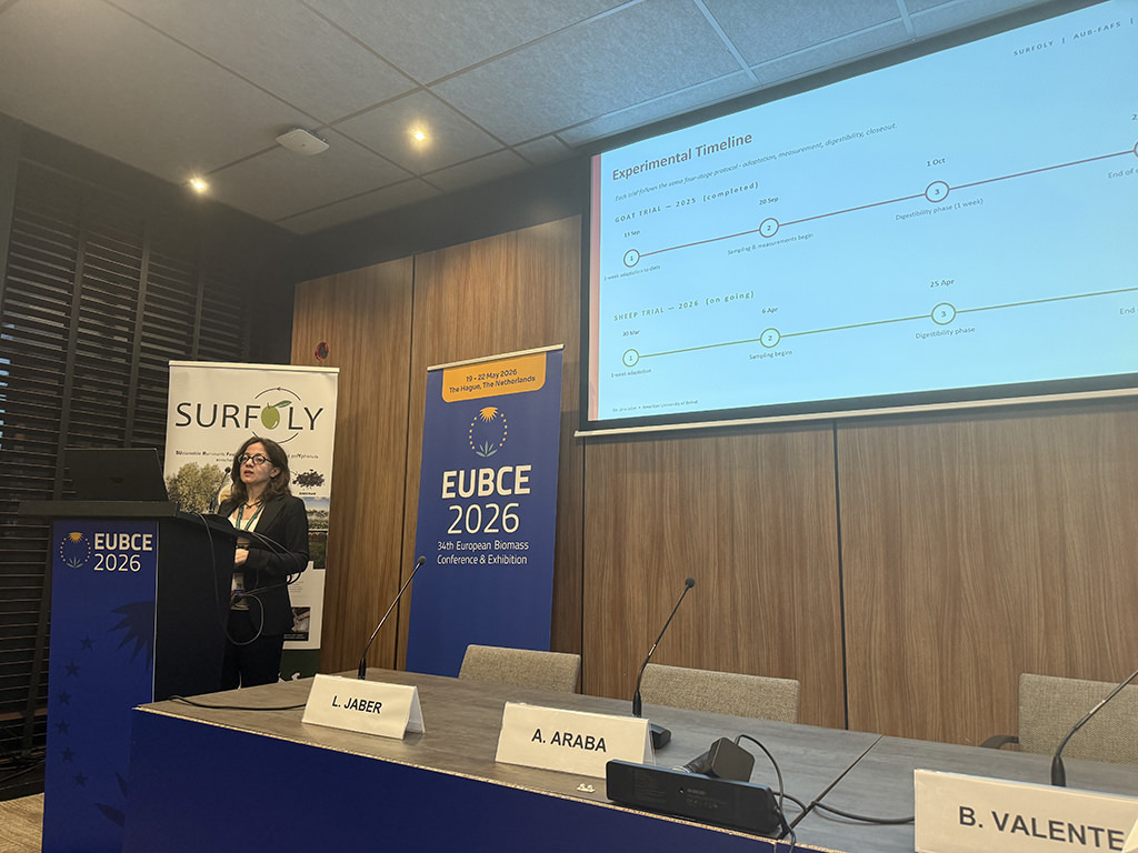 Surfoly at EUBCE